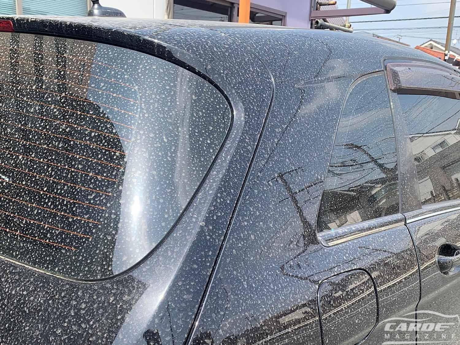 花粉の洗車