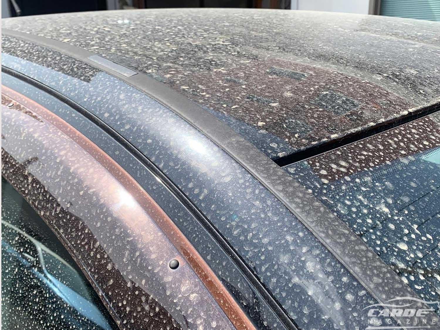 花粉の洗車